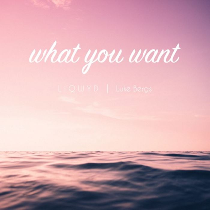 MP3 #524 LiQWYD and Luke Bergs - What You Want