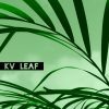 Télécharger gratuitement la musique de KV -  Leaf