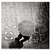 Télécharger gratuitement la musique de Jelsonic -  Saying Goodbye In The Rain
